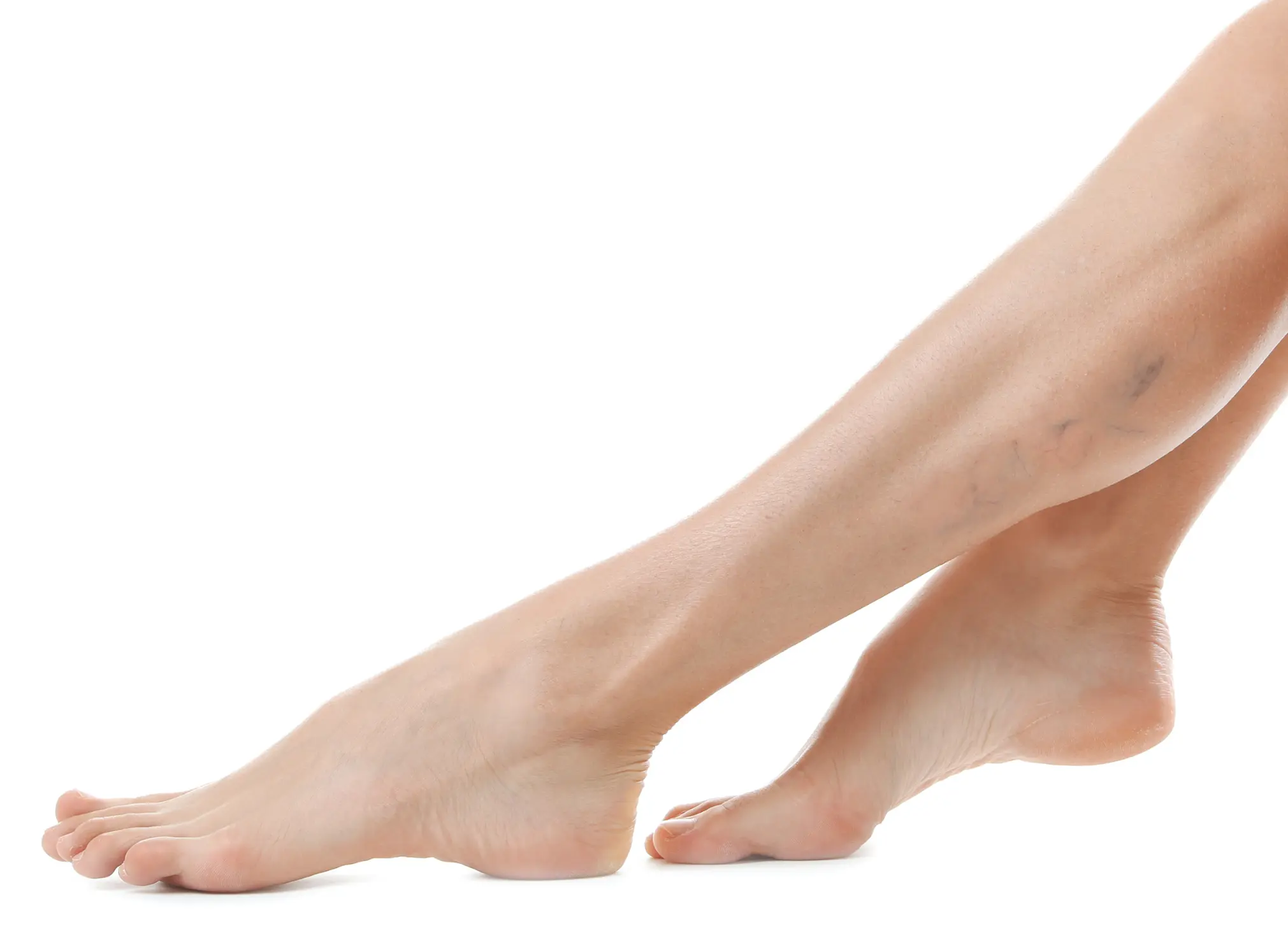 AdobeStock_232699316 1